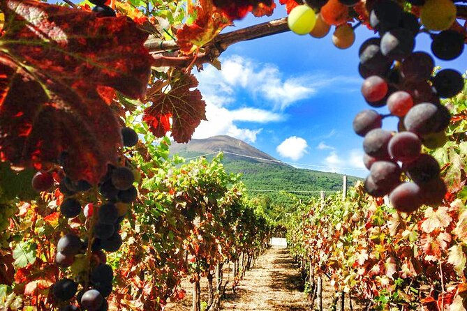 Private Pompeii and Vesuvius with Wine Tasting and Full Tickets - A child-friendly way to read ancient Pompeii