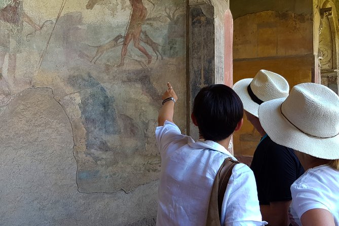 Private Pompeii & Herculaneum Tour from Sorrento - Pompeii: a city preserved in ash