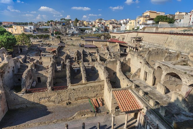 Private Pompeii & Herculaneum Tour from Sorrento - Why the guide matters at both sites