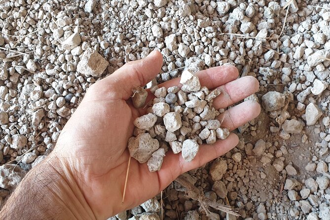 Private Pompeii Tour with Archaeologist & Winery on Mt Vesuvius - Markets, baths, and the practical Roman city