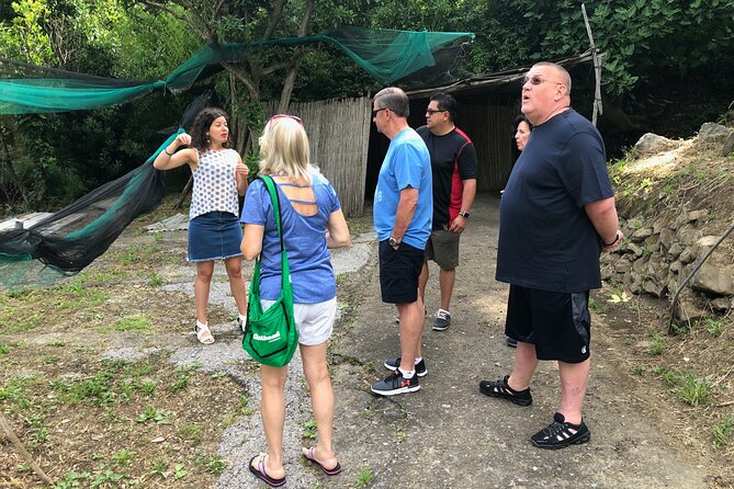 Private Pompeii Tour with lunch and Olive Oil Factory Experience - Who will enjoy this day most