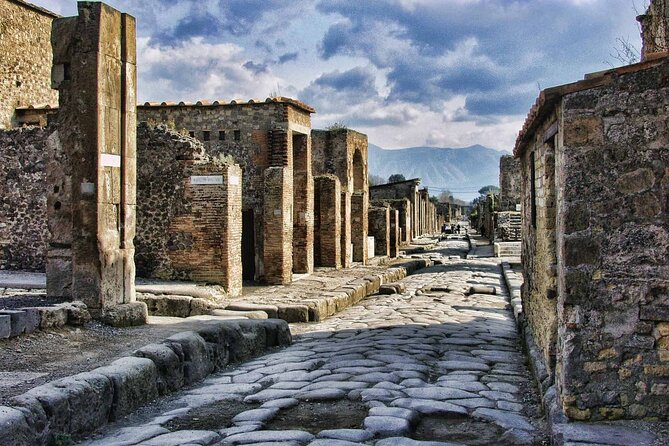 Private Pompeii Tour with Organic Wine Tasting & Lunch - Key points at a glance