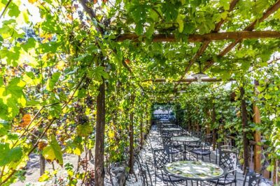 Private Pompeii Tour with Organic Wine Tasting & Lunch