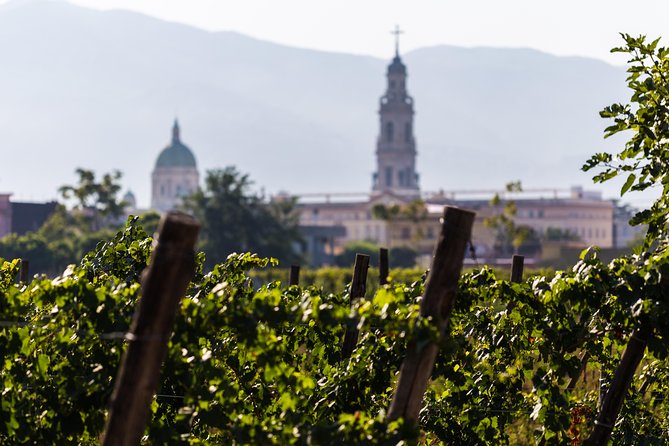 Private Pompeii Tour with Organic Wine Tasting & Lunch - Timing, meeting points, and practical details