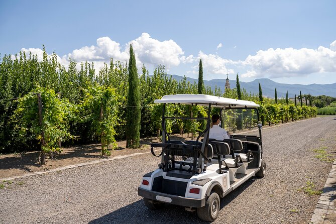 Private Pompeii Tour with Organic Wine Tasting & Lunch - Who will get the most from this Pompeii and wine pairing