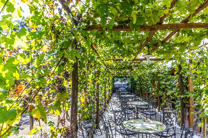 Private Pompeii Tour with Organic Wine Tasting & Lunch - What lunch includes, and what to expect