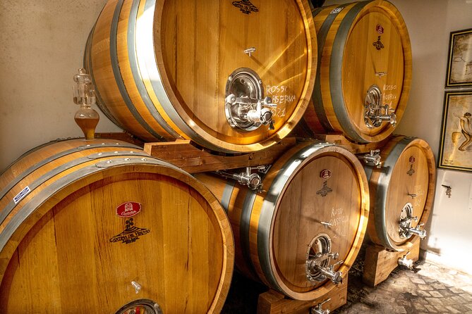 Private Pompeii Tour with Wine Tasting Experience - Two focused hours inside Pompeii
