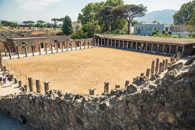 Private Skip-the-line Pompeii & Mt. Vesuvius Tour from Sorrento - The Lupanar, theater, and Basilica