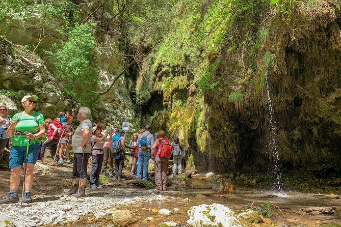 Private Tour: Amalfi Valle delle Ferriere Nature Reserve Walking Tour - How difficult is the walk?
