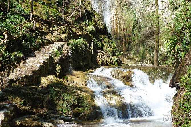 Private Tour: Amalfi Valle delle Ferriere Nature Reserve Walking Tour - Is $178.84 per person good value?