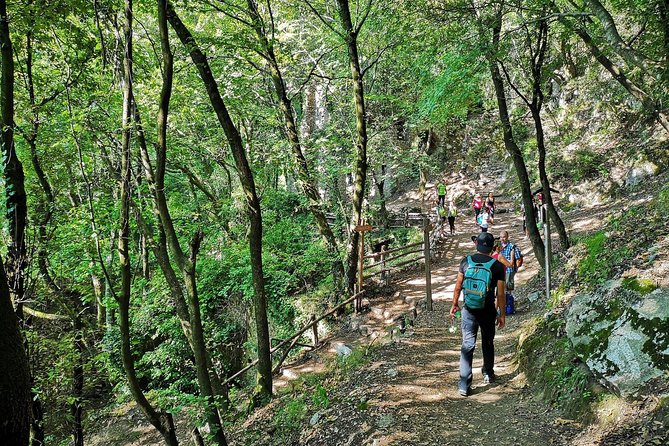 Private Tour: Amalfi Valle delle Ferriere Nature Reserve Walking Tour - Who should book this Amalfi walk?