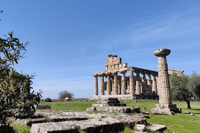Private Tour from Sorrento/Positano to Paestum and Mozzarella tour - Why Paestum is worth the long ride from the coast