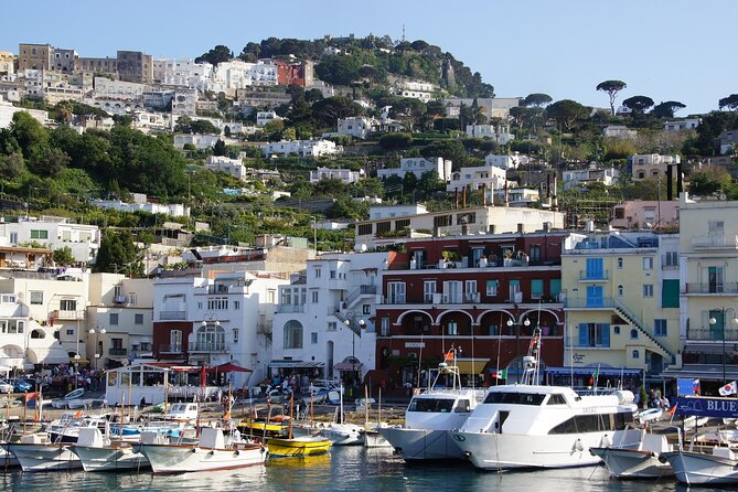 Private tour of Capri & Anacapri with Scenic Shared Boat Ride - The shared boat ride around Capri