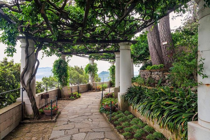 Private Tour of Capri and Anacapri From Sorrento - The Blue Grotto: ask, but keep a backup plan