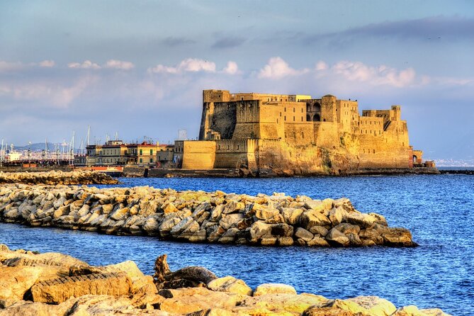 Private tour of Naples from Amalfi Coast - Choosing between a driver and a dedicated guide