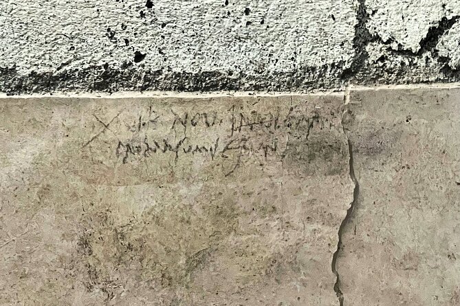 Private Tour of Pompeii with Skip-the-Line Access - Regio V gives the visit a clear focus