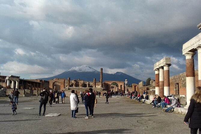 Private tour of the Pompeii excavations - Who should book this Pompeii visit?