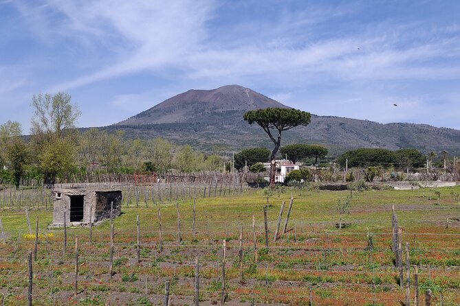 Private Tour Pompeii and Herculaneum - Herculaneum: smaller scale, finer houses