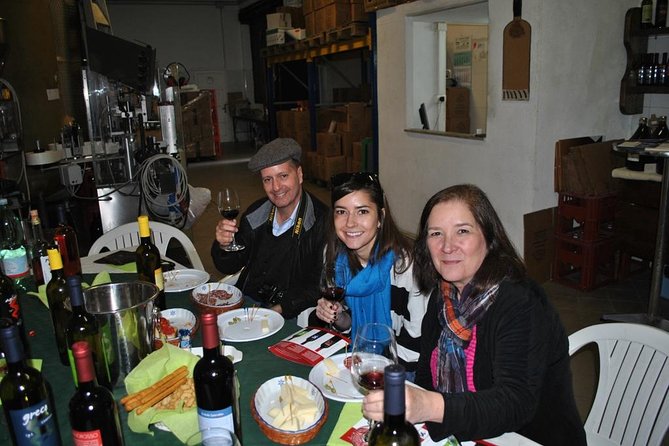 Private tour Pompeii Vesuvius and Winery from Sorrento - Wine and lunch on volcanic slopes