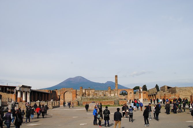 Private tour Pompeii Vesuvius and Winery from Sorrento - The drivers and guides shape the day