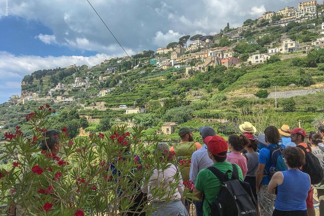 Private Tour: The Path of the Lemons - Reaching Minori at the End