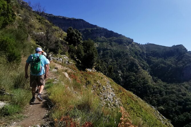 Private Tour Walking in Ferriere Valley Nature Reserve Amalfi - Ancient plants in a protected valley
