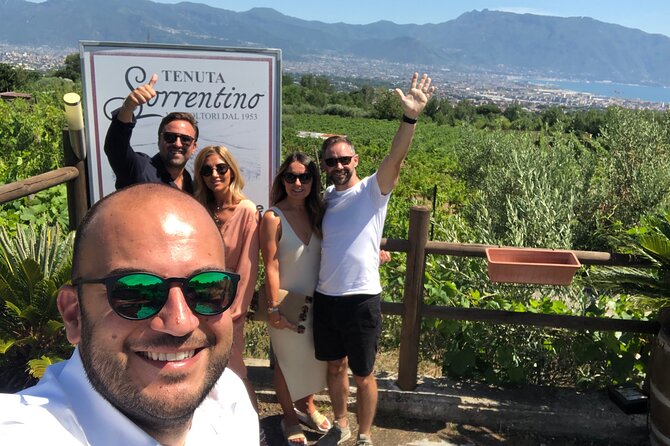 Private Transfer from Naples to Sorrento or Vice Versa - Why this private ride makes sense in Naples