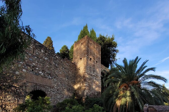 Private Transfer from Sorrento to Naples - Safety, punctuality, and one important warning