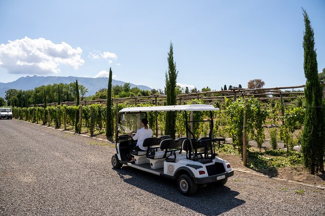 Seafood Lunch & Wine Tasting with Scenic Golf Cart Tour - A Winery Visit With Pompeii Beneath Your Feet