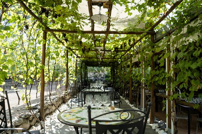 Seafood Lunch & Wine Tasting with Scenic Golf Cart Tour - Guides Who Add Personality