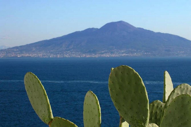 Secrets Walks of Sorrento with a Local - Why this is a smart first look at Sorrento