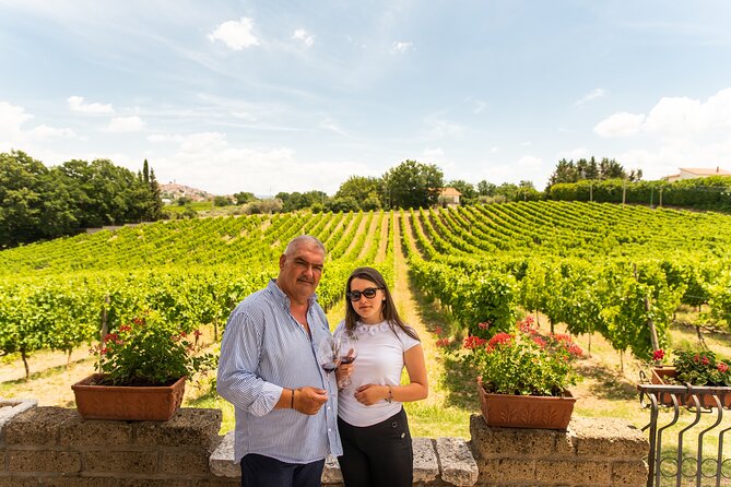 Sella delle Spine Taurasi: Tasting, Vineyard and Cellar Tour - Key points at a glance