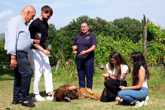 Sella delle Spine Taurasi: Tasting, Vineyard and Cellar Tour - Three DOCG wines and four distinctly different pairings