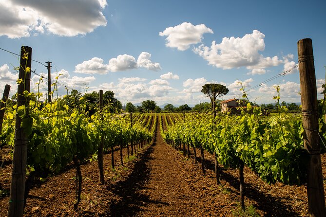 Sella delle Spine Taurasi: Tasting, Vineyard and Cellar Tour - Starting with coffee at Via Municipio 12