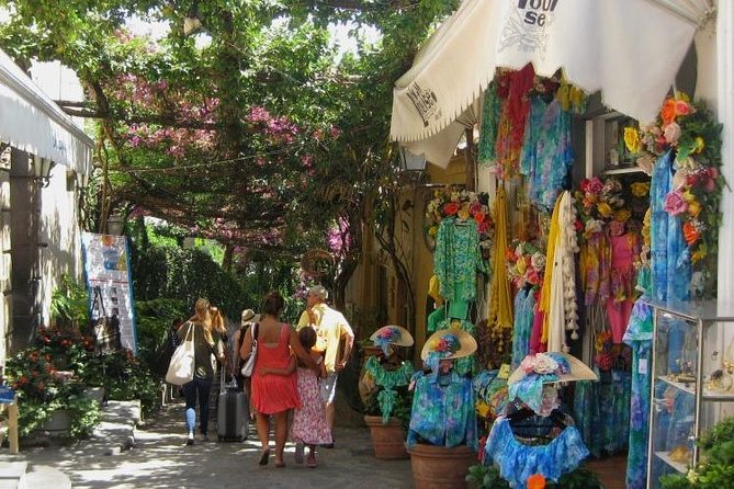 Shared Amalfi Coast by Minivan 8 pax Land Tour from Sorrento - Commentary varies from driver to driver
