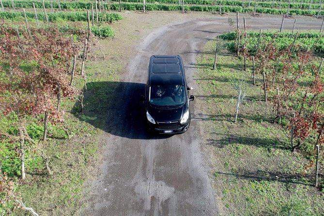 Shared Transfer from Sorrento to Naples Airport - Who gets the best value from this shuttle