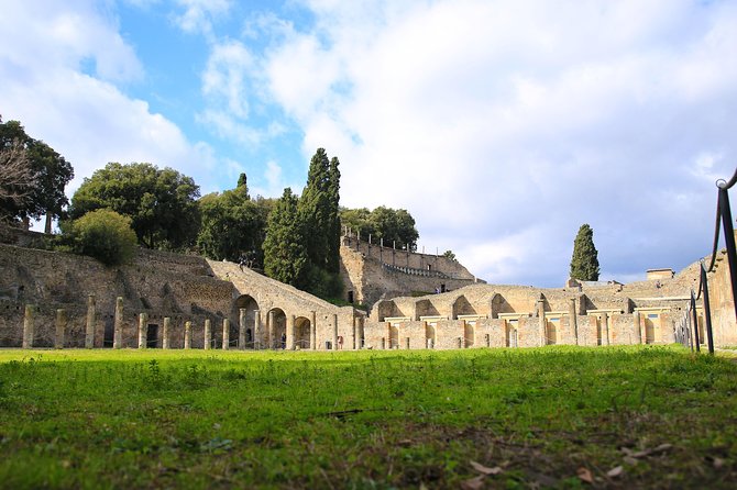Skip-the-Line Best of Pompeii in one Day Tour w Local Guide & new opened houses - The Forum, Pompeii’s public heart