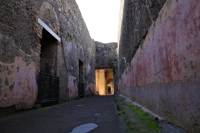 Skip the Line Guided Tour of Pompeii led by an Archaeologist - A Two-Hour Route With a Quick Pace