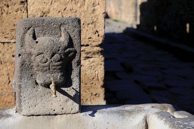 Skip-the-Line Half-Day Private Tour Ancient Pompeii Highlights with Native Guide - Why a private two-hour tour makes sense at Pompeii