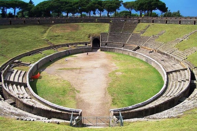 Skip-the-Line Pompeii and Vesuvius Tour - What $137.87 buys you