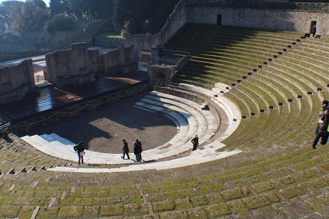 Skip-the-Line Pompeii Archaeological Site with Private Guide - Who should book this Pompeii tour?
