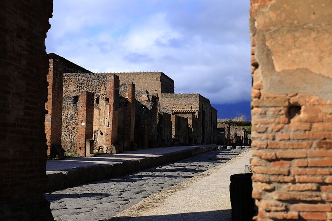 Skip the Line Pompeii Tour For Kids and Families w Special Guide - The Forum, temples, and Roman daily life