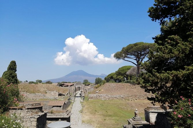 Skip-the-Line Pompeii & Volcano Vesuvius Day Tour w Hotel or Port Pickup - Pickup from Naples, Sorrento, or the Amalfi Coast