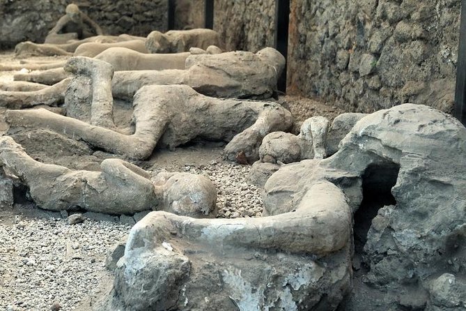 Skip the Line Private Pompeii Guided Tour - Granaries, baths, and the daily life of Pompeii