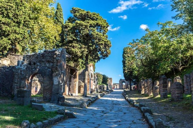 Skip the Line Private Pompeii Guided Tour - The Temple of Apollo and Pompeii’s main Forum
