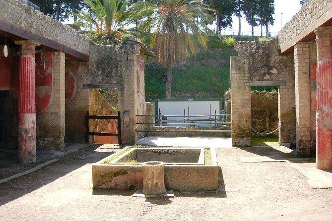 Skip the line Ticket Herculaneum Guided Tour 4 hrs - House of the Hotel and the city’s wealth