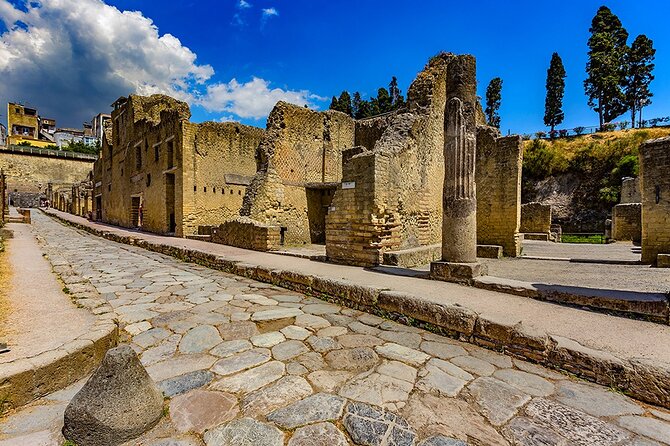 Skip the line Ticket Herculaneum Guided Tour 4 hrs - Entering the archaeological park