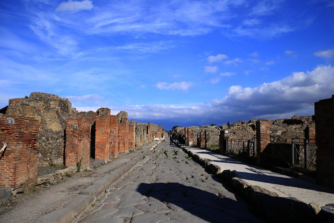 Skip the Line Tour of Pompeii for Kids & Families - Meeting at Hotel Vittoria in Pompeii
