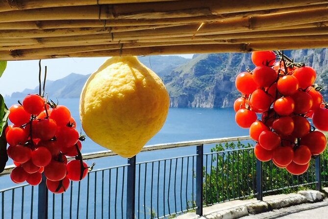 Small Group Amalfi Coast Tour from Sorrento in a Mercedes Van - Ravello and Villa Rufolo’s sea-facing gardens
