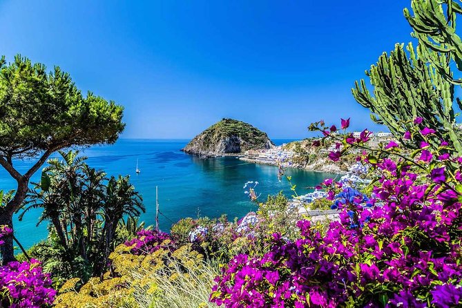 Small Group Ischia and Procida Boat Day Tour from Sorrento - Starting at 8:15 in Sorrento